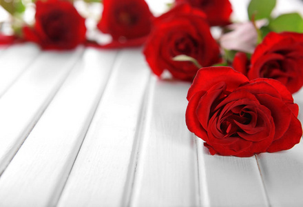 美丽的红玫瑰，白木底