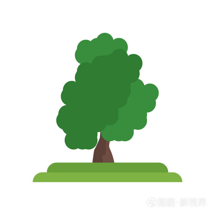 白色bac 上的黄樟树图标矢量符号与符号分离