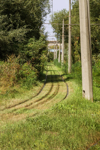 铁轨穿过森林。旧的铁, 电车路杂草丛生的森林中的草。火车轨道的美丽的风景