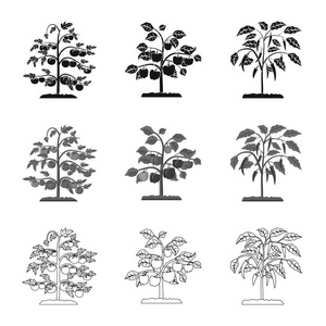 温室和植物符号的矢量设计。收集温室和花园矢量图标的股票