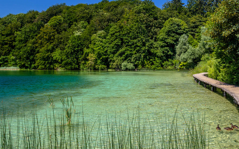 美丽的景色在普利特维切湖国家公园。克罗地亚