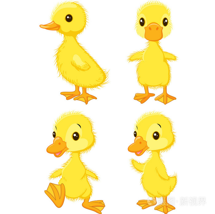 卡通小鸭子