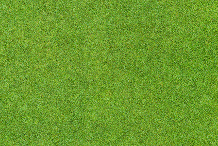 美丽的绿草模式从高尔夫球场图片