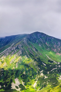 如诗如画的喀尔巴阡山，自然景观在夏天，乌克兰