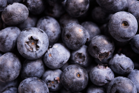 新鲜成熟的蓝莓微距拍摄，水果背景