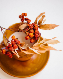 秋季装饰杯茶, 花洒浆果白色背景
