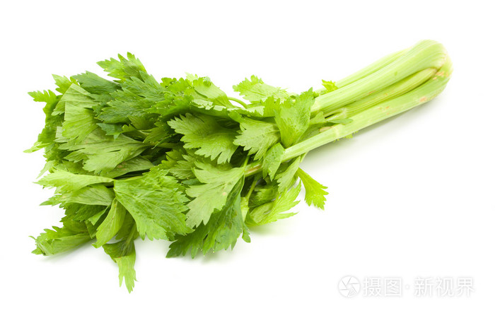 在白色背景上孤立的芹菜
