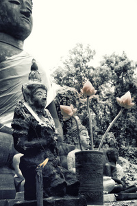 在泰国清迈的一尊佛像上献祭