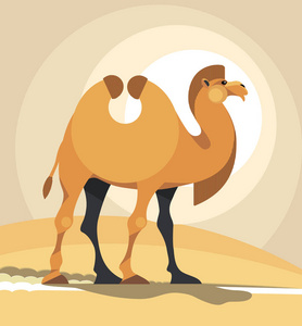 沙丘背景下的雄伟橙色骆驼图片
