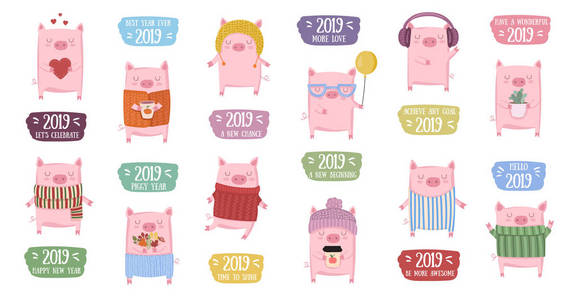 创意收集可爱的猪新的2019年。农历年的象征。矢量插画动画片隔离。黄猪年
