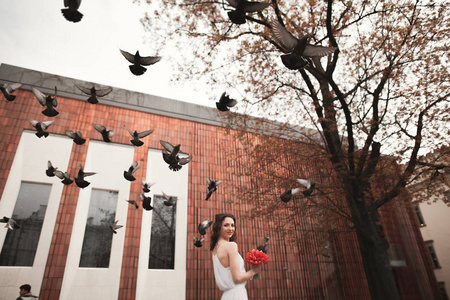 幸福的新娘的鸽子背景上