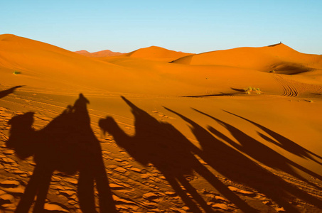 沙漠与橙色沙丘和人骑骆驼剪影图片