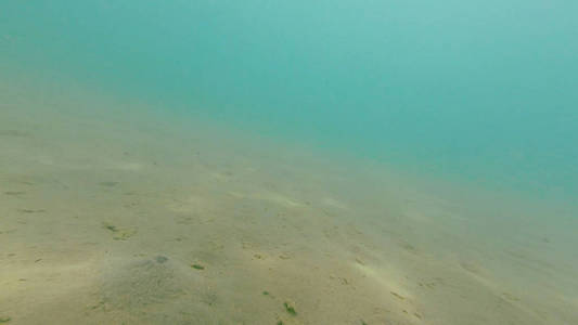 夏季黑海海底沙滩照片