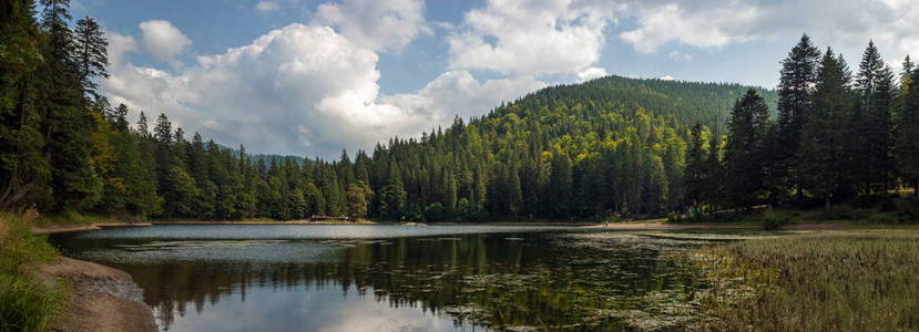 美丽的景色, 山上的湖泊和群山覆盖森林在夏季。受欢迎的旅游景点。乌克兰喀尔巴阡山湖 Sinevir 的梦幻风光