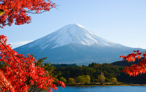 富士山在秋天