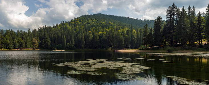 美丽的景色, 山上的湖泊和群山覆盖森林在夏季。受欢迎的旅游景点。乌克兰喀尔巴阡山湖 Sinevir 的梦幻风光