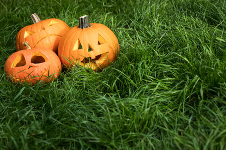 halloweeen 在草地上雕刻南瓜。南瓜灯