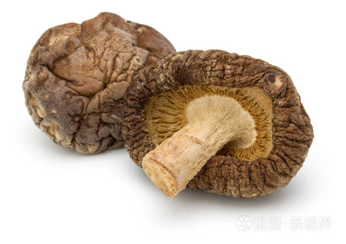 白色背景上分离出的干的香菇
