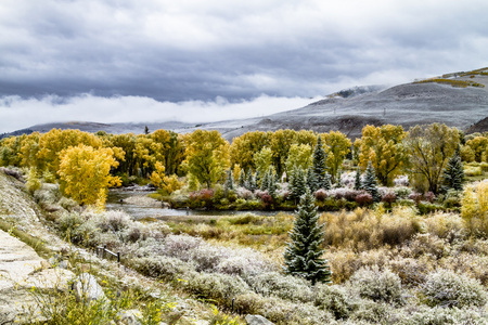 秋天的色彩和科罗拉多州的雪