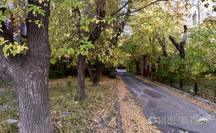 秋天风景在城市的郊区 房子 树 叶子秋天