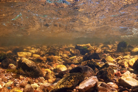 湖泊水下纹理, 水下照片淡水生态系统, 水纹理背景