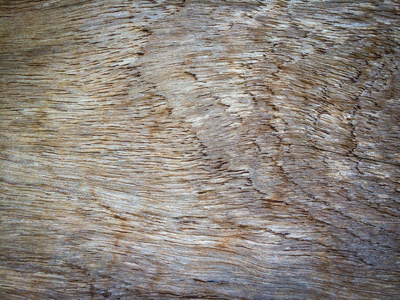 古老的木背. 树皮木材的纹理用作天然的背景