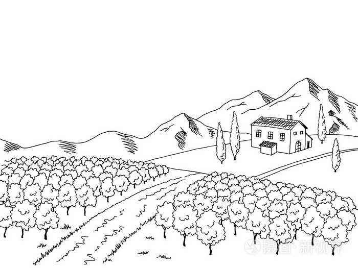 葡萄园图形艺术黑白色风景素描图矢量