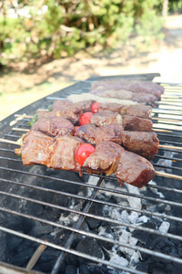 在一个烧烤户外假期夏天吃烤肉