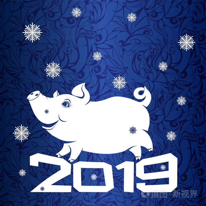 猪在题字 2019 滑稽的形象一个哺养的动物与雪花 一年的标志在蓝色