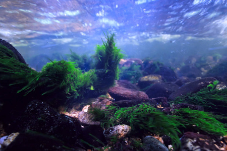 水下山清澈的河流, 水下照片中的淡水河流, 快速水流, 气泡水, 水下生态系统景观