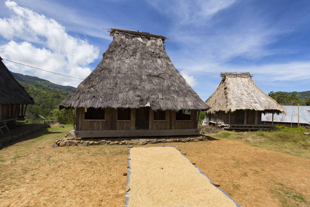 在印度尼西亚东部东努沙登加拉省 Kelimutu 附近的 Wologai 村的传统民居前, 大米干燥。