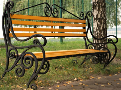 秋天公园里的黄木凳在桦树和柳树之间