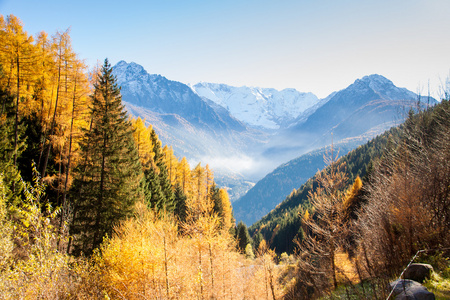 五彩的叶子与山脉的秋天全景