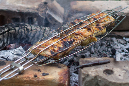 羊肉串烤肉串在火上。烤肉的肉。烤肉。烧火。在森林里的篝火野餐。鸡肉或烤肉