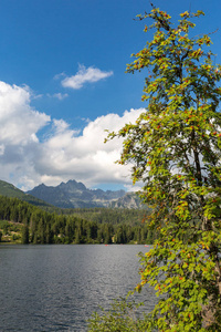 尼斯 landscsape 与山湖在 Tatras, Strebske 萨格勒布, 斯洛伐克