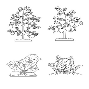 greenhous 和植物标志的矢量设计。greenhous 和花园股票矢量图集