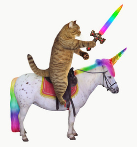 剑猫用彩虹剑的猫骑着真正的独角兽.白色背景照片