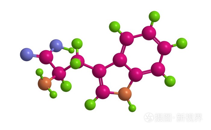 色氨酸分子的结构