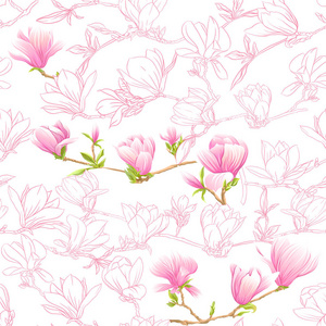 无缝图案与粉红色玉兰花。矢量插图