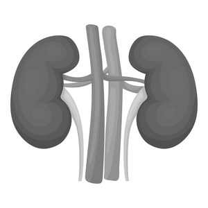 肾在白色背景上孤立的单色风格的图标。器官象征股票矢量图