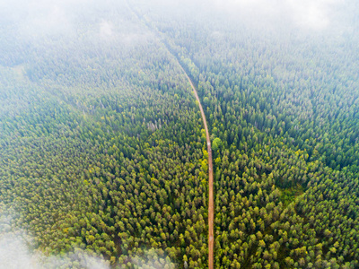 森林中一条乡间小路的鸟瞰图。美丽的风景。在绿色森林和道路上的云。空中鸟眼之路。空中俯视图林。从上面看森林景观的纹理