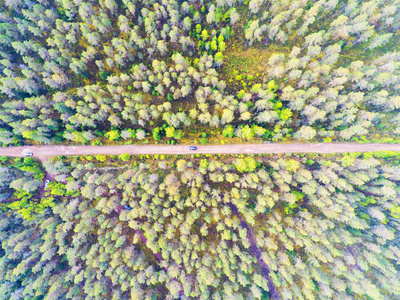 一条乡间小路在森林里的鸟瞰图, 上面有移动的汽车。美丽的风景。从上面捕获的无人机。空中鸟眼路与汽车。空中俯视图林。从上面看森林景