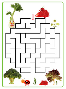 有趣的迷宫游戏为学龄前儿童