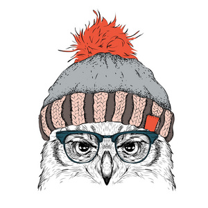 圣诞节海报与图像猫头鹰画像在冬天的帽子。矢量图
