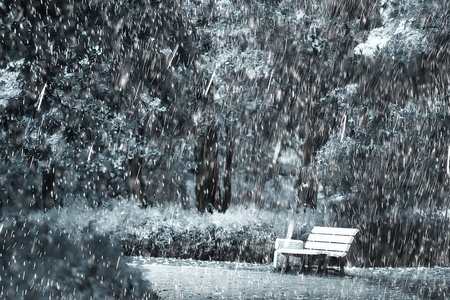 秋雨背景长凳在公园下秋雨, 走在寒冷的天气, 坏天气在黄色10月公园, 秋天风景没有人