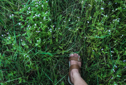 脚与 sandle 走在绿草领域