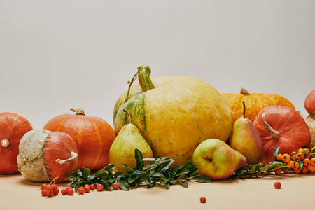 秋季装饰用南瓜, 火浆果, 梨和绿叶在桌上