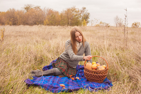 蓝色格子带篮子充满秋收秋 field 女人的野餐