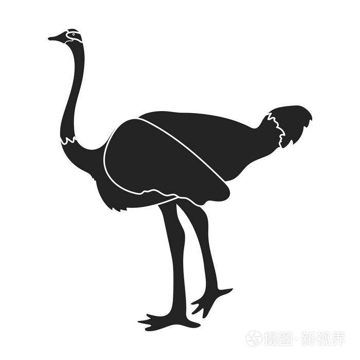 鸵鸟在孤立的白色背景上的黑色风格的图标.鸟的符号股票矢量图