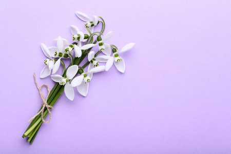 紫色背景上的雪莲花花束